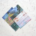 DYI ��ȭ�ø���1 �Ȱ���� / ���� Ŭ���� (20 x 21CM) �����ֹ�����